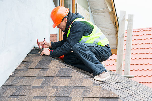 Best Roof Gutter Cleaning  in Holgate, OH