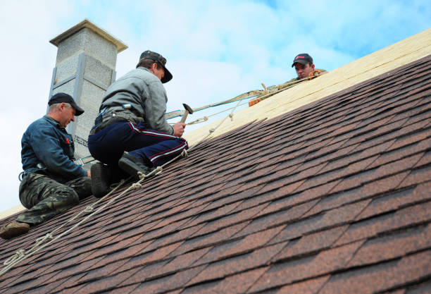 Best Metal Roofing Contractor  in Holgate, OH